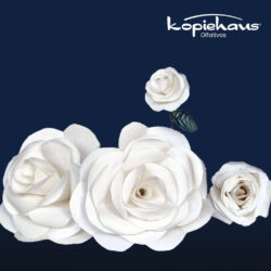 Flores Olfativas